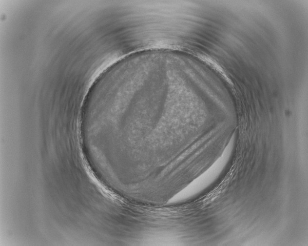 X0000059840991200511181508