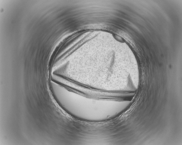 X0000059840992200511181508