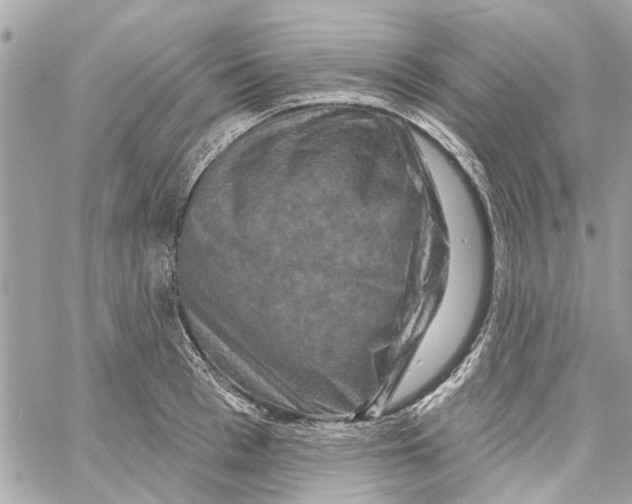 X0000059840993200511181508