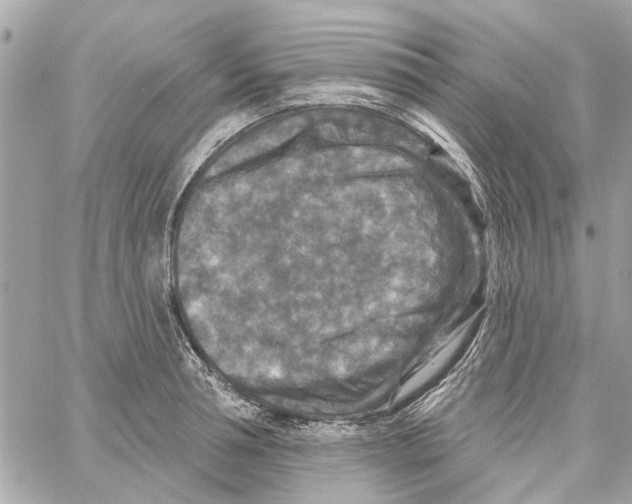 X0000059840994200511181508