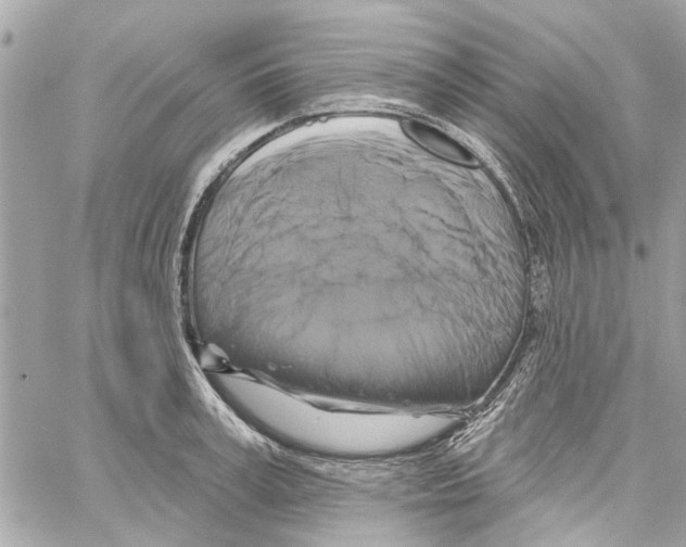 X0000059840995200511181508