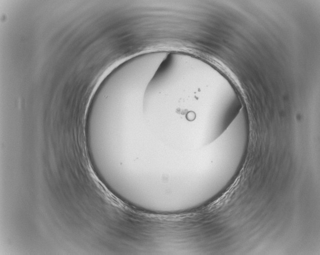 X0000059840996200511181508