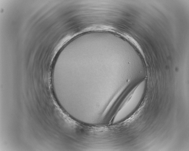 X0000059840997200511181508