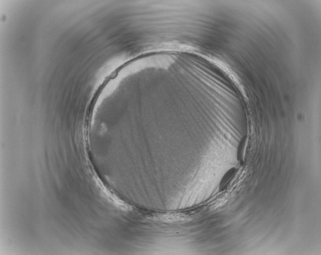 X0000059840998200511181508