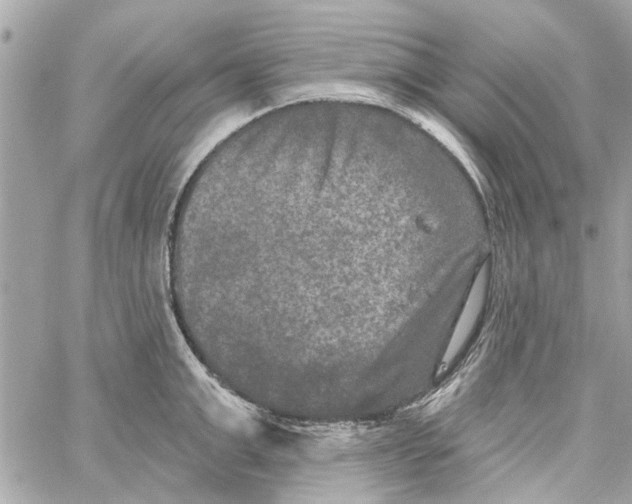 X0000059840999200511181508