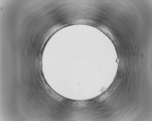 X0000059841000200511181508