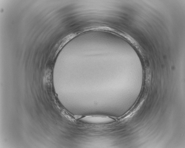 X0000059841001200511181508