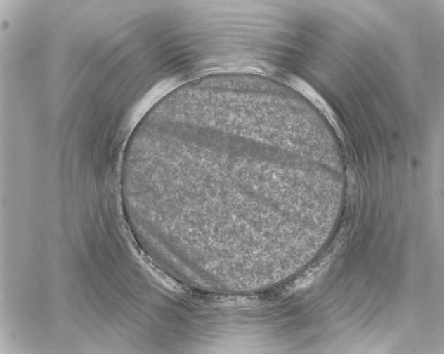 X0000059841002200511181508