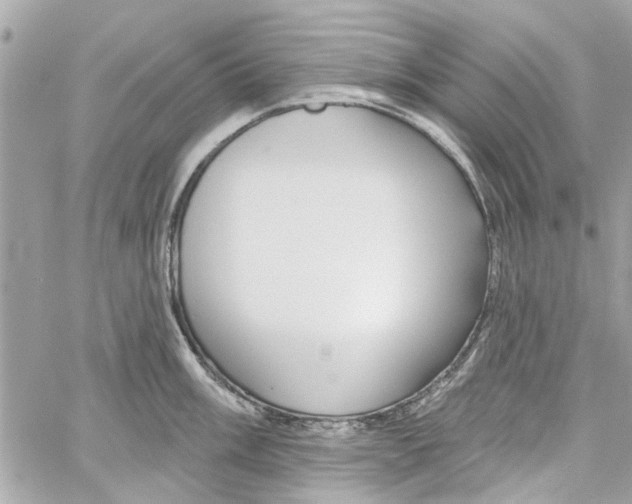 X0000059841003200511181508