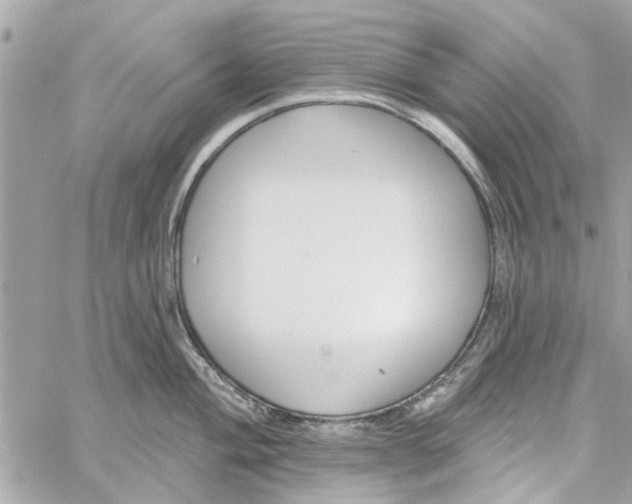 X0000059841004200511181508