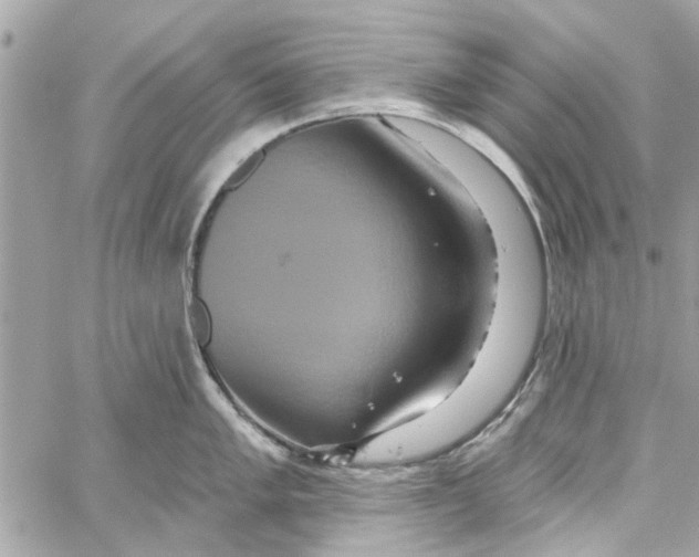 X0000059841005200511181508