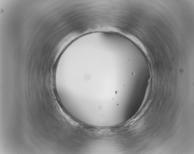 X0000059841006200511181508