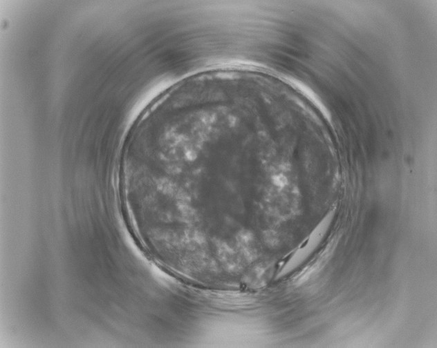 X0000059841007200511181508