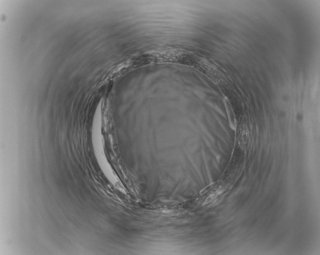 X0000059841010200511181507