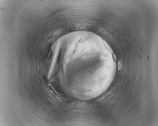 X0000059841011200511181507