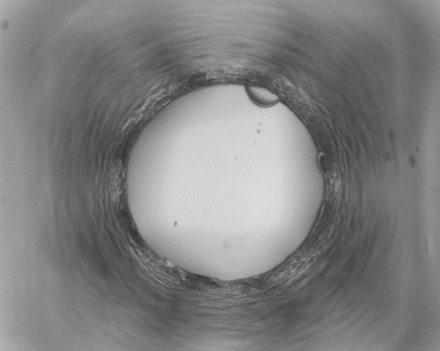 X0000059841012200511181507