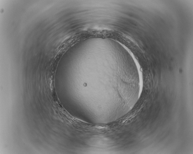 X0000059841013200511181507