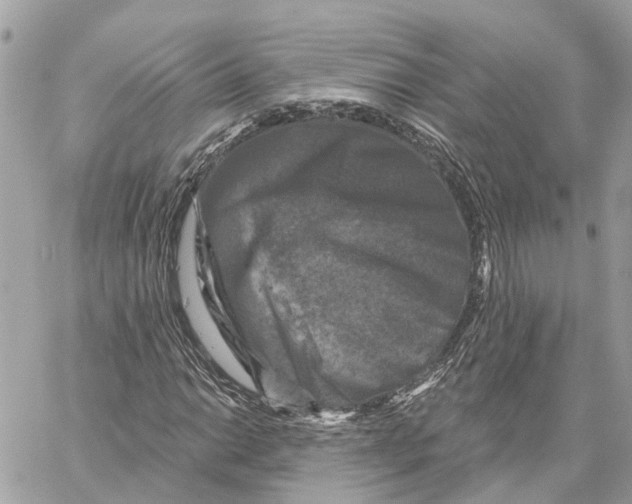 X0000059841014200511181507