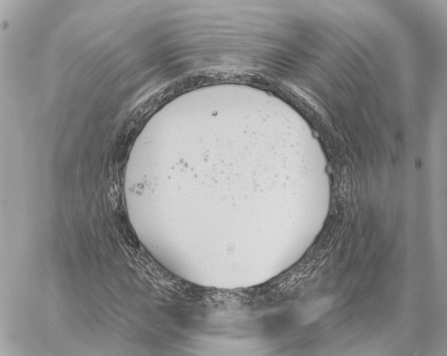 X0000059841015200511181507