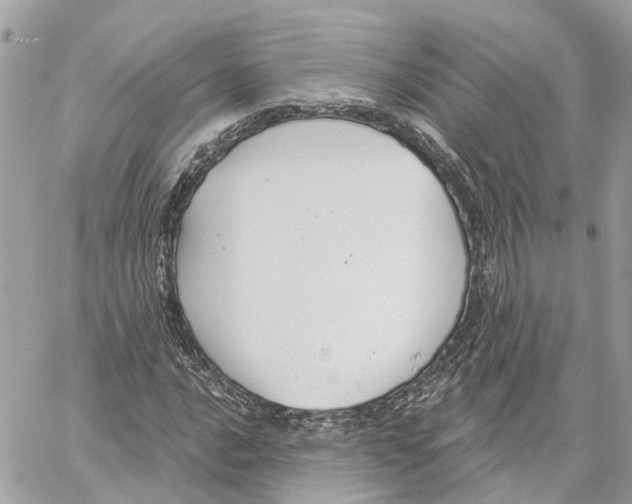 X0000059841016200511181507