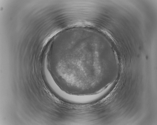 X0000059841018200511181507