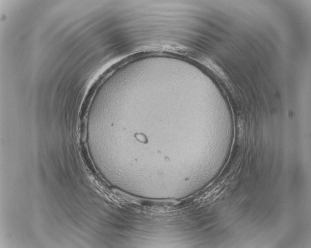 X0000059841020200511181507