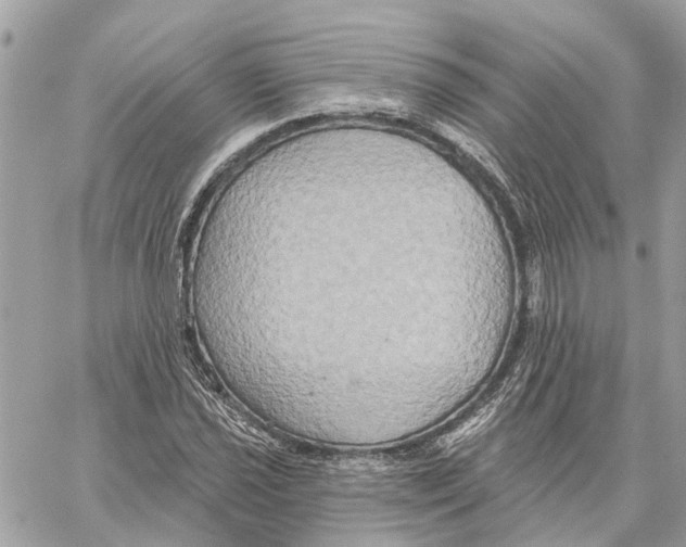 X0000059841021200511181507