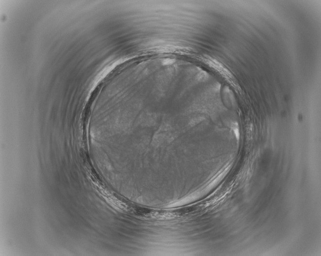 X0000059841023200511181508