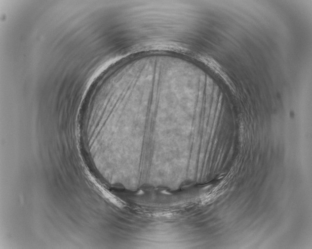 X0000059841024200511181508