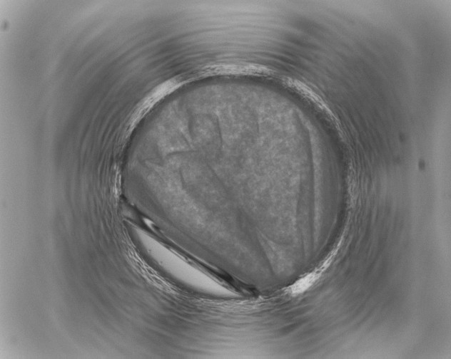 X0000059841025200511181508