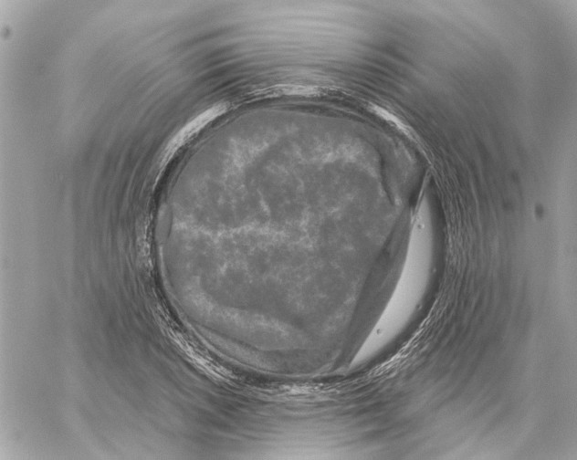 X0000059841026200511181508