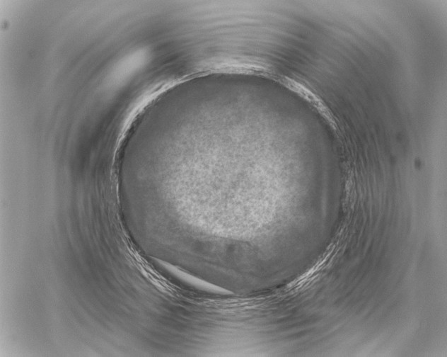 X0000059841027200511181508