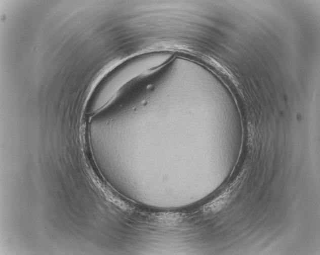 X0000059841029200511181508