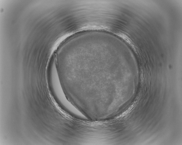 X0000059841030200511181508