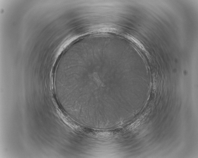 X0000059841031200511181508