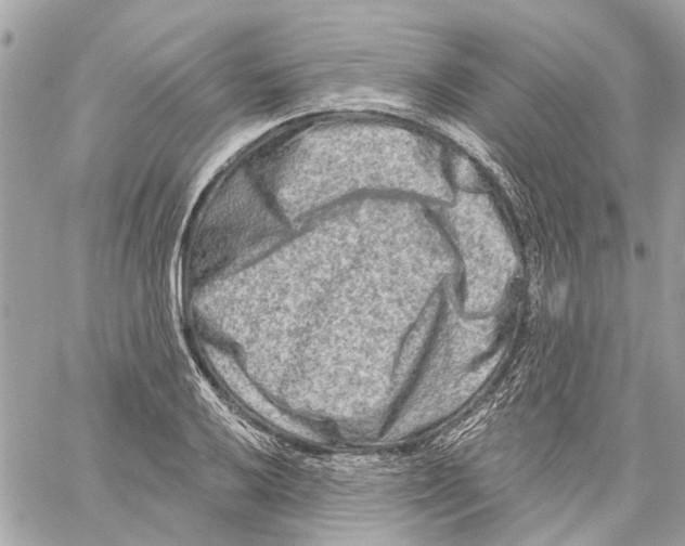 X0000059841032200511181508