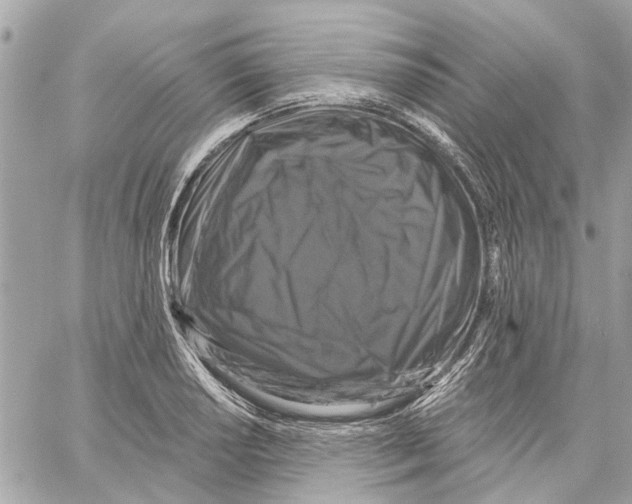 X0000059841034200511181508