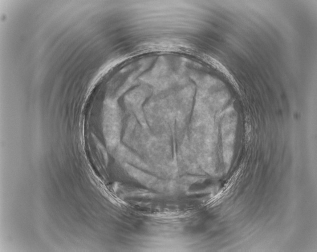 X0000059841035200511181508