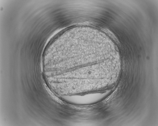 X0000059841036200511181508