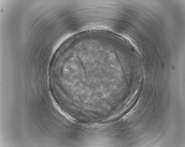 X0000059841038200511181508