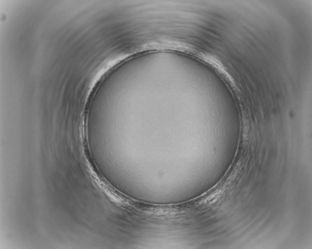 X0000059841040200511181508