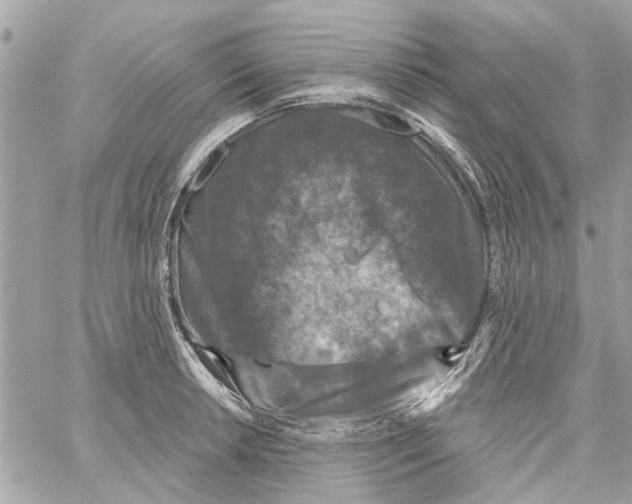 X0000059841042200511181508