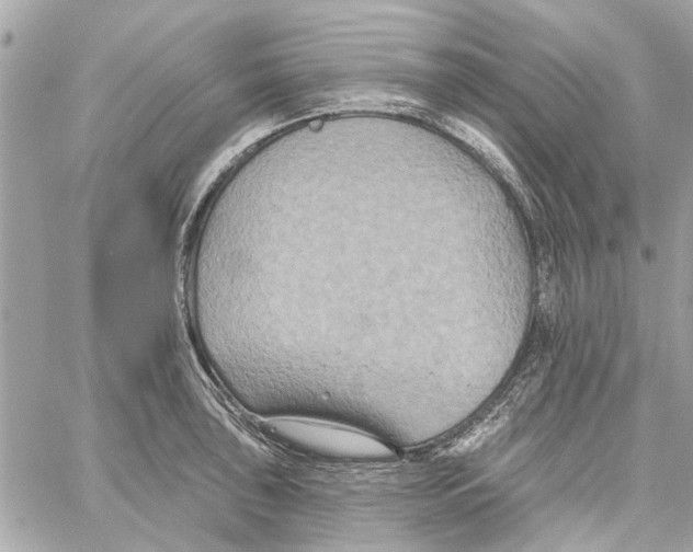 X0000059841043200511181508