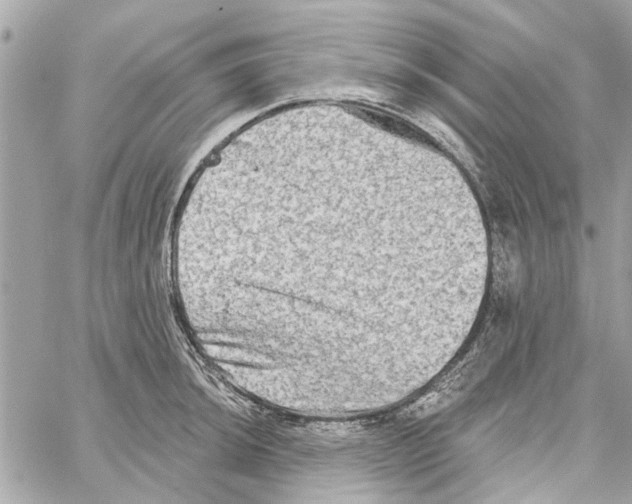 X0000059841044200511181508