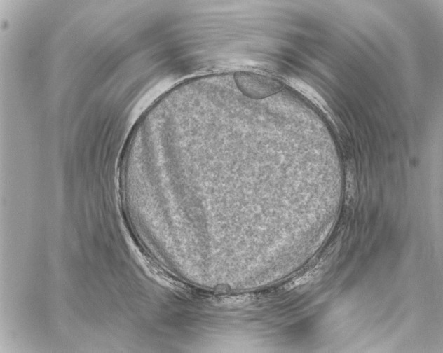 X0000059841047200511181508