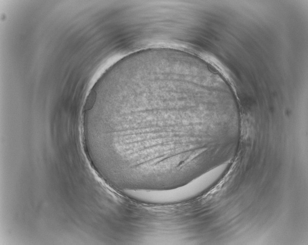 X0000059841048200511181508