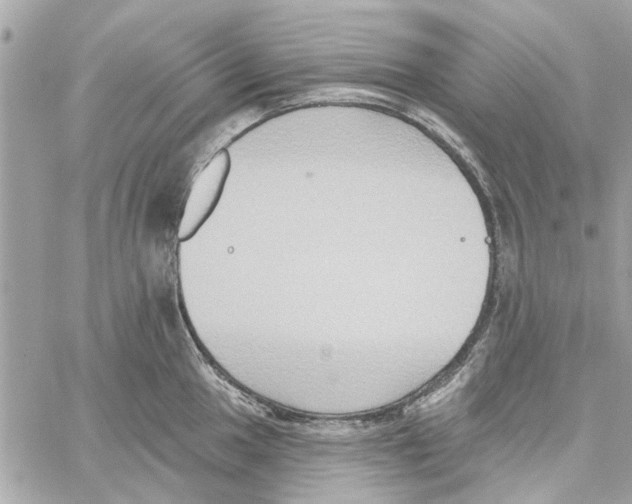 X0000059841049200511181508