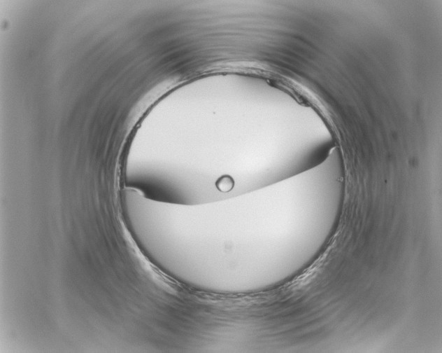 X0000059841050200511181508