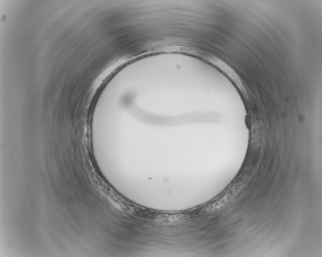 X0000059841051200511181508