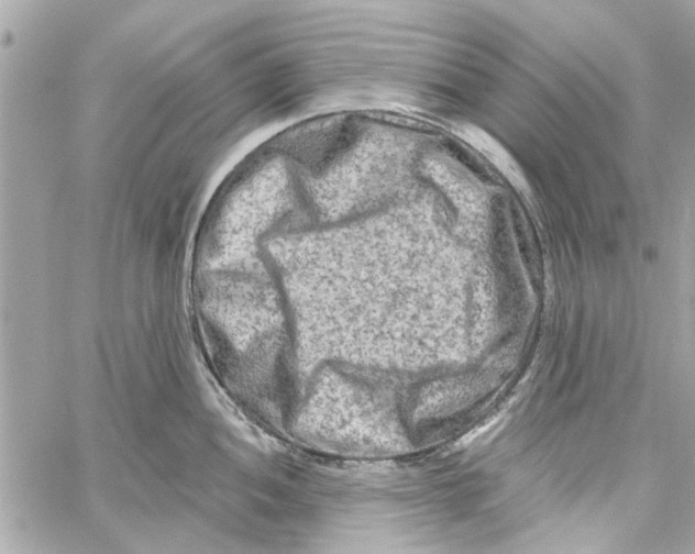 X0000059841052200511181508